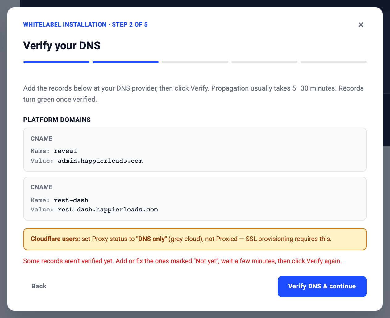 White label wizard: the DNS records to add, with a Verify button