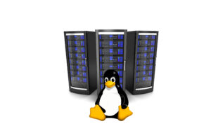 Linux-Webhosting